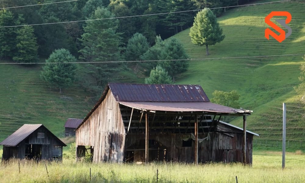 tracy lavelle covington tennessee